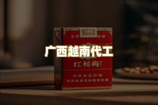 广西越南代工